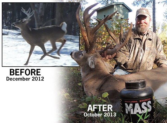 Before / After 1