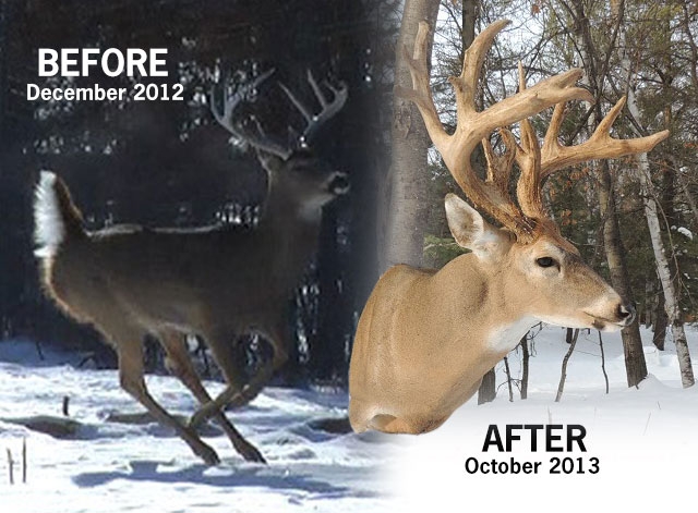 Before / After 2